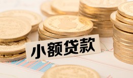 东莞21空放-东莞21个人短借-东莞21身份证小额贷款