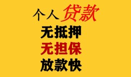 东莞21信用贷款办理-东莞21身份证贷款分期-东莞21小额私人借贷