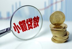 东莞21哪里可以小额贷款-东莞21哪里有民间借贷-东莞21民间短期私借借款
